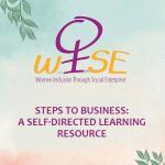 WISE Project - Steps to business